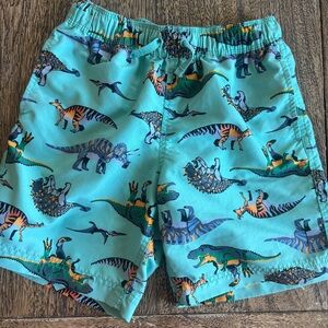 Hanna Andersson Dinosaur Swim Trunks